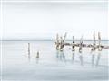 Picture of Quiet Lake _GroupedProduct_Rectangle_Landscape_Unframed_Print_Only_