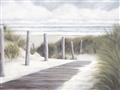 Picture of Peaceful Beach Path _GroupedProduct_Rectangle_Landscape_Unframed_Print_Only_