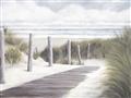 Picture of Peaceful Beach Path _GroupedProduct_Rectangle_Landscape_Unframed_Print_Only_