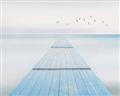Picture of Bridge with birds _GroupedProduct_Rectangle_Landscape_Unframed_Print_Only_