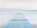 Picture of Bridge with birds _GroupedProduct_Rectangle_Landscape_Unframed_Print_Only_