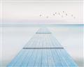 Picture of Bridge with birds _GroupedProduct_Rectangle_Landscape_Unframed_Print_Only_