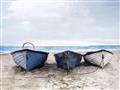 Picture of Beached Boats _GroupedProduct_Rectangle_Landscape_Unframed_Print_Only_