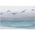 Picture of Silver Birds  _GroupedProduct_Rectangle_Landscape_Unframed_Print_Only_