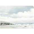 Picture of Birds on beach _GroupedProduct_Rectangle_Landscape_Unframed_Print_Only_
