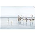 Picture of Quiet Lake _GroupedProduct_Rectangle_Landscape_Unframed_Print_Only_