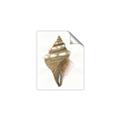 Picture of Sea Shell I _GroupedProduct_Rectangle_Portrait_Unframed_Print_Only_