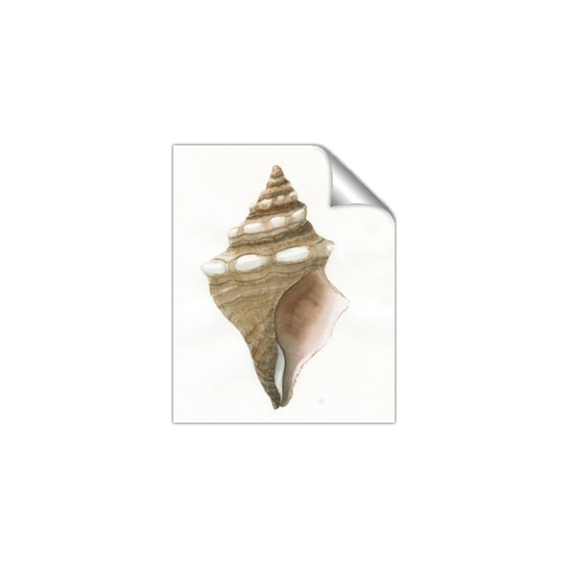 Picture of Sea Shell I _GroupedProduct_Rectangle_Portrait_Unframed_Print_Only_