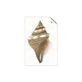 Picture of Sea Shell I _GroupedProduct_Rectangle_Portrait_Unframed_Print_Only_