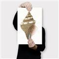 Picture of Sea Shell I _GroupedProduct_Rectangle_Portrait_Canvas_