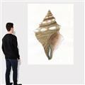 Picture of Sea Shell I _GroupedProduct_Rectangle_Portrait_Canvas_