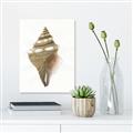Picture of Sea Shell I _GroupedProduct_Rectangle_Portrait_Canvas_