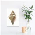 Picture of Sea Shell I _GroupedProduct_Rectangle_Portrait_Canvas_
