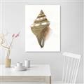 Picture of Sea Shell I _GroupedProduct_Rectangle_Portrait_Canvas_