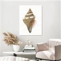 Picture of Sea Shell I _GroupedProduct_Rectangle_Portrait_Canvas_