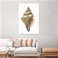 Picture of Sea Shell I _GroupedProduct_Rectangle_Portrait_Canvas_