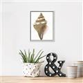 Picture of Sea Shell I _GroupedProduct_Rectangle_Portrait_Canvas_Framed_