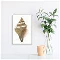 Picture of Sea Shell I _GroupedProduct_Rectangle_Portrait_Canvas_Framed_