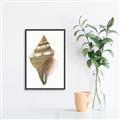 Picture of Sea Shell I _GroupedProduct_Rectangle_Portrait_Canvas_Framed_