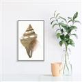 Picture of Sea Shell I _GroupedProduct_Rectangle_Portrait_Canvas_Framed_