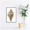 Picture of Sea Shell I _GroupedProduct_Rectangle_Portrait_Canvas_Framed_