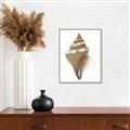 Picture of Sea Shell I _GroupedProduct_Rectangle_Portrait_Canvas_Framed_