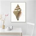 Picture of Sea Shell I _GroupedProduct_Rectangle_Portrait_Canvas_Framed_