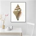 Picture of Sea Shell I _GroupedProduct_Rectangle_Portrait_Canvas_Framed_