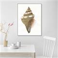 Picture of Sea Shell I _GroupedProduct_Rectangle_Portrait_Canvas_Framed_