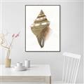 Picture of Sea Shell I _GroupedProduct_Rectangle_Portrait_Canvas_Framed_