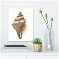 Picture of Sea Shell I _GroupedProduct_Rectangle_Portrait_Unframed_Print_Only_