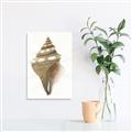 Picture of Sea Shell I _GroupedProduct_Rectangle_Portrait_Unframed_Print_Only_