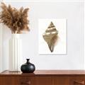 Picture of Sea Shell I _GroupedProduct_Rectangle_Portrait_Unframed_Print_Only_