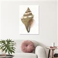 Picture of Sea Shell I _GroupedProduct_Rectangle_Portrait_Unframed_Print_Only_