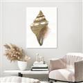 Picture of Sea Shell I _GroupedProduct_Rectangle_Portrait_Unframed_Print_Only_