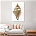 Picture of Sea Shell I _GroupedProduct_Rectangle_Portrait_Unframed_Print_Only_