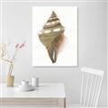 Picture of Sea Shell I _GroupedProduct_Rectangle_Portrait_Unframed_Print_Only_