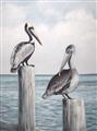 Picture of Observing Pelicans _GroupedProduct_Rectangle_Portrait_Unframed_Print_Only_