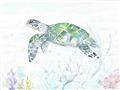 Picture of Sea Turtle II  _GroupedProduct_Rectangle_Landscape_Unframed_Print_Only_