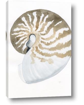Picture of Sea Shell II