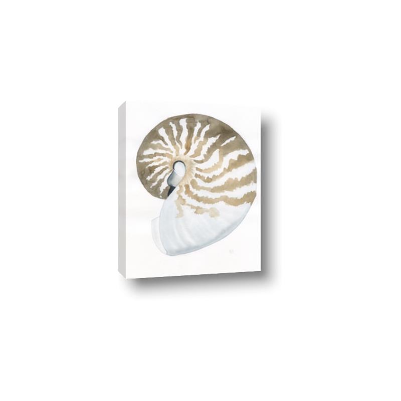 Picture of Sea Shell II _GroupedProduct_Rectangle_Portrait_Canvas_