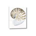 Picture of Sea Shell II _GroupedProduct_Rectangle_Portrait_Canvas_