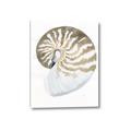 Picture of Sea Shell II _GroupedProduct_Rectangle_Portrait_Canvas_