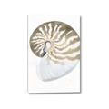 Picture of Sea Shell II _GroupedProduct_Rectangle_Portrait_Canvas_