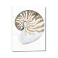 Picture of Sea Shell II _GroupedProduct_Rectangle_Portrait_Canvas_