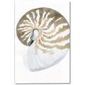 Picture of Sea Shell II _GroupedProduct_Rectangle_Portrait_Canvas_