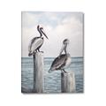 Picture of Observing Pelicans _GroupedProduct_Rectangle_Portrait_Canvas_
