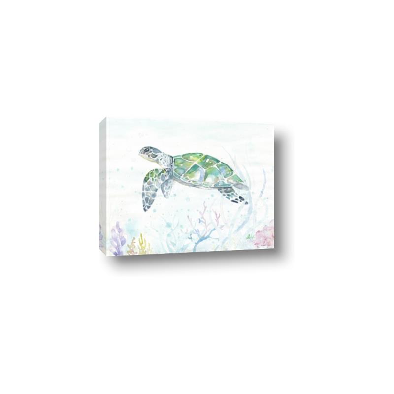 Picture of Sea Turtle II  _GroupedProduct_Rectangle_Landscape_Canvas_