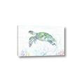 Picture of Sea Turtle II  _GroupedProduct_Rectangle_Landscape_Canvas_