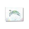 Picture of Sea Turtle II  _GroupedProduct_Rectangle_Landscape_Canvas_